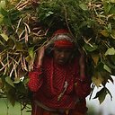 Nepalo moters portretas