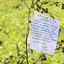 „Rainbow Gathering“