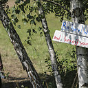 „Rainbow Gathering“