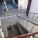 Verslo avilys