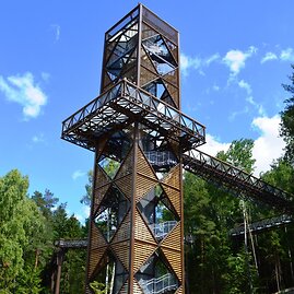 Anykščių TIC/Vilandos Reikalienės nuotr./Apžvalgos bokštą galima pasiekti taku, laiptais arba keltuvu